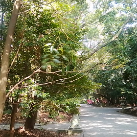 精霊のイタズラの画像