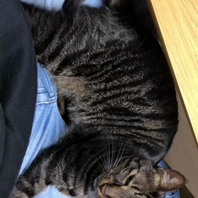 10月もまもなく終了の画像