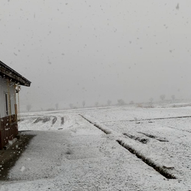恵の⁉️の画像