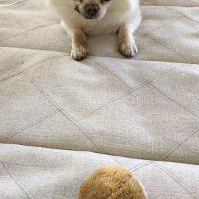 ボール遊びの画像