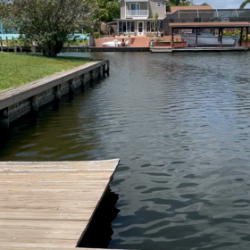 今朝の訪問者の画像