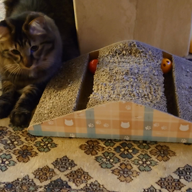 毛玉サッカーの画像