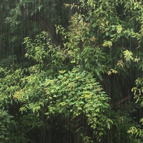 凄い雨の画像