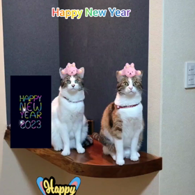 ✨ Happy  New  Year ✨の画像