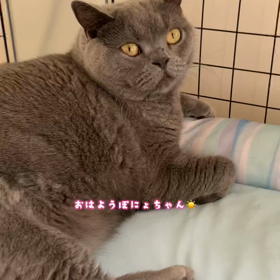 2022.6月4日　オープンスクール　サッカースクールの画像