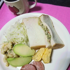 今日の1日の画像