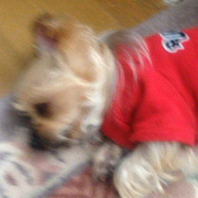 実家にて2の画像