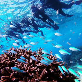 LA．LA．LA…！の画像