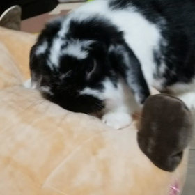 震災後初仕事。 の画像