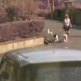 またあの飼い主が来た！Σ('◉⌓◉’)の画像