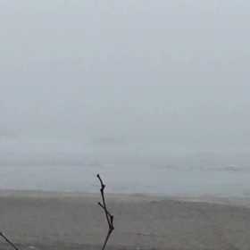 7月24日千葉北、東浪見の朝の波の画像