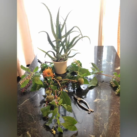 草月流安藤晃草いけばな教室の画像