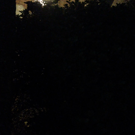 ヤル気スイッチ全開です！！！の画像