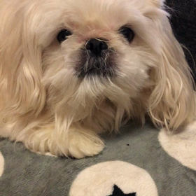 おはよーの画像