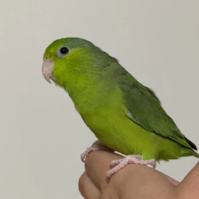 ご無沙汰しておりますの画像