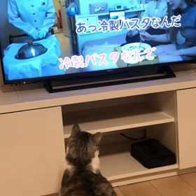 【YouTube】ヘラヘラ三銃士に真剣の画像