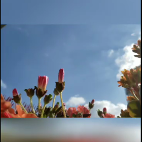 #タイムラプスでの画像