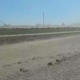 台風の様な風の画像