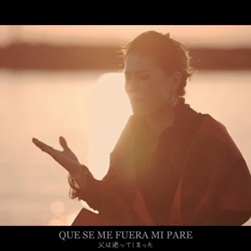 私のMVのダイジェストの画像