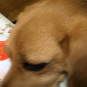 最後にやられたの画像