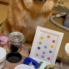 ハルのご飯を狙うの画像