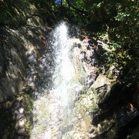虹龍もやってきましたの画像