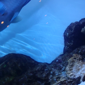 チョコザップ✨久々昨日行ってきた！の画像