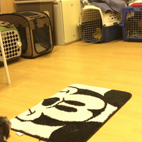 成長してるねぇ。の 画像