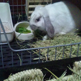 動画とってみた❗の画像