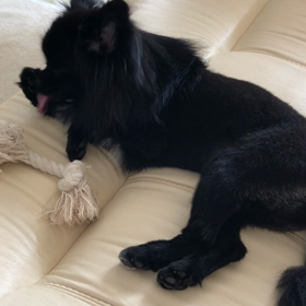 2019年8月19日    ルナさんの画像