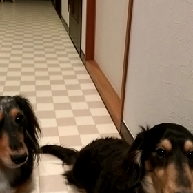 休憩時間。の画像