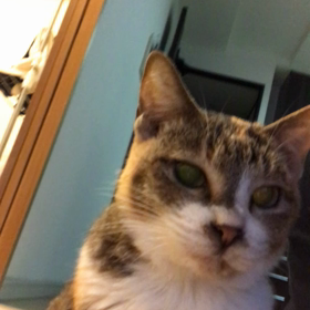 今年のお盆の画像