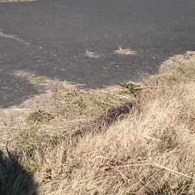 ちょっと休憩？の画像