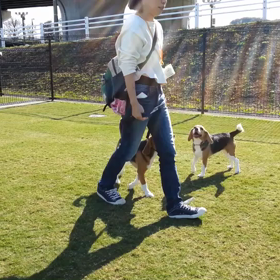 Pets Happy Projectの画像