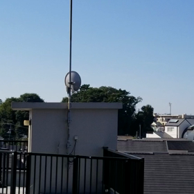 蝉の恩返しの画像