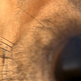 アップすぎの画像