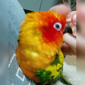 いないいないば〜(*°∀°)=3の画像