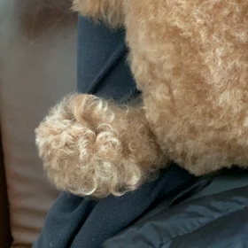 ひま過ぎる？の画像