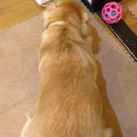 どーしたッッ。の画像