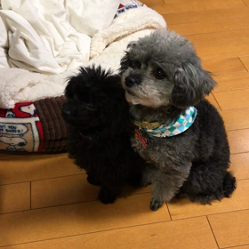 訓練 パート1の画像