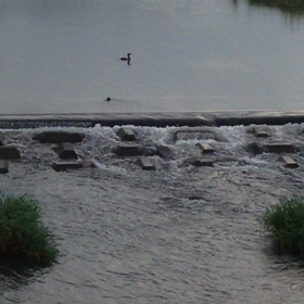 迫って来る♪の画像