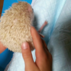 癒される・・・の画像