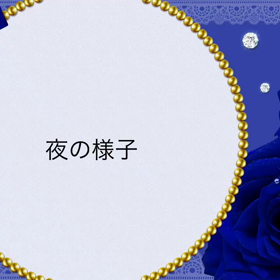 夜の画像