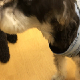 落ち着いてやれば出来るわさ。の画像