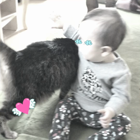 にゃんちゃんと❤️の画像