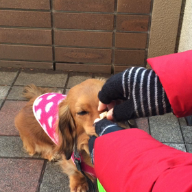 おしい‼️の画像