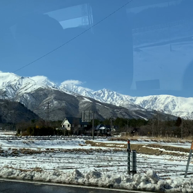 ☆白馬☆の画像