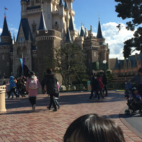 ♪年パス3回目、のりのりな姉弟の動画♪の画像