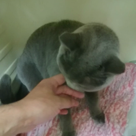 モネちゃん～の画像