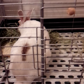 おはようございますの画像